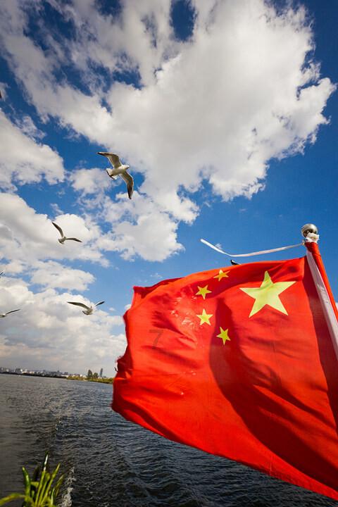 金币放置