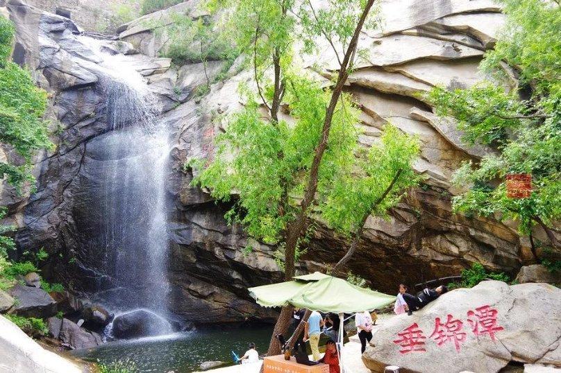 黑皮、粉(白)皮、青皮冬瓜的主要区别在哪?一起来看看